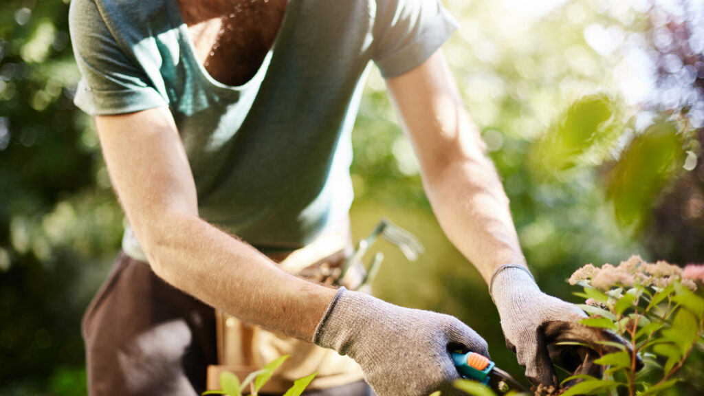 Pourquoi faire appel à un paysagiste à Angers pour son jardin&nbsp;?